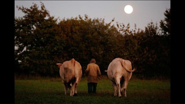 Huon hopes to find a successor to preserve the traditional spirit of the farm, which he plans to donate rather than sell. Nonetheless, he recognises that whoever follows will have to make changes as regulatory pressures become ever tougher. (Stephane Mahe / REUTERS) Huon hopes to find a successor to preserve the traditional spirit of the farm, which he plans to donate rather than sell. Nonetheless, he recognises that whoever follows will have to make changes as regulatory pressures become ever tougher. (Stephane Mahe / REUTERS)