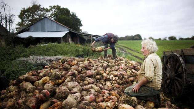 Huon and his companion Laurence harvest beets on their land near their farm. “I’m a happy outsider,” Huon said on the farm where he lives without hot water. “I’ve always managed by myself, I’ve never been rich but what do I care?” (Stephane Mahe / REUTERS) 
