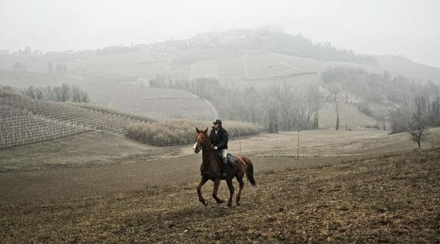 Italian Doctor Roberto Anfosso rides his horse Ambra during a working day in La Morra, near Alba, northwestern Italy.(AFP)