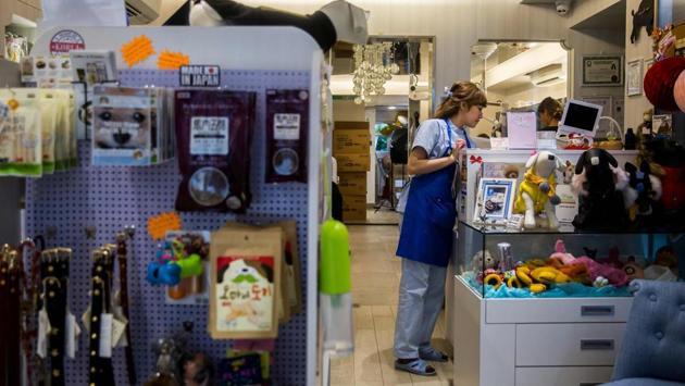 A view of the pet saloon in Hong Kong. SexySushi founder Monna Lam says she doesn’t think the treatments are over the top. “Pets also deserve better things for their lives,” insisted Lam, who has 12 dogs herself. (Isaac Lawrence / AFP) A view of the pet saloon in Hong Kong. SexySushi founder Monna Lam says she doesn’t think the treatments are over the top. “Pets also deserve better things for their lives,” insisted Lam, who has 12 dogs herself. (Isaac Lawrence / AFP)