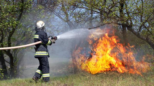Confiscated illegal fishing gear set on fire in Kalangala - New Vision  Official