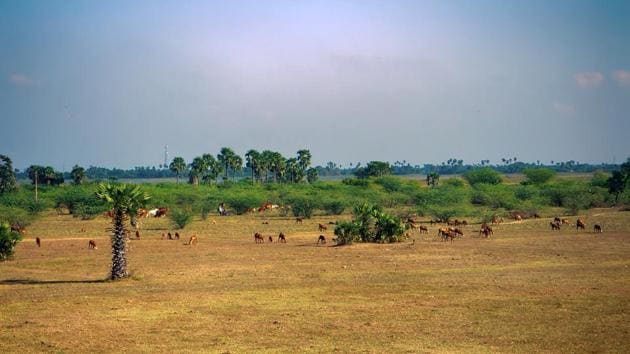 About 30% of India’s geographic area is undergoing degradation, according to the Desertification and Land Degradation Atlas of India of the Space Applications Centre of ISRO(Representative image)