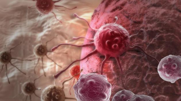 Ras proteins have long been the focus of cancer research because of their role as ‘on/off switch’ signalling pathways that control cell division and failure to die like normal, healthy cells do. (Shutterstock) Ras proteins have long been the focus of cancer research because of their role as ‘on/off switch’ signalling pathways that control cell division and failure to die like normal, healthy cells do. (Shutterstock)