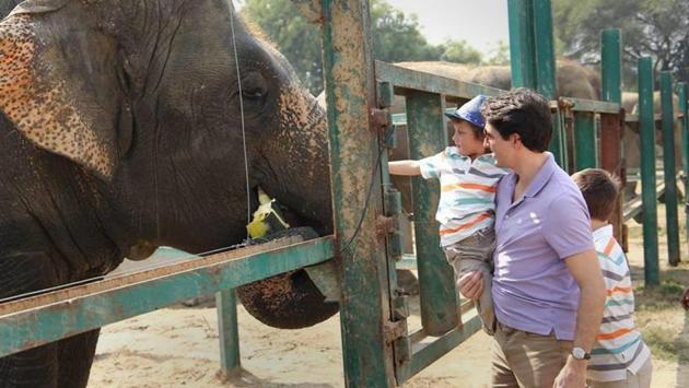 PM Justin Trudeau with his son Hadrien, 3, feeds an elephant during a tour of the elephant sanctuary in Mathura on Sunday. Trudeau arrived in India on Saturday for a week-long visit aimed at enhancing business ties between the two countries. (PTI) PM Justin Trudeau with his son Hadrien, 3, feeds an elephant during a tour of the elephant sanctuary in Mathura on Sunday. Trudeau arrived in India on Saturday for a week-long visit aimed at enhancing business ties between the two countries. (PTI)