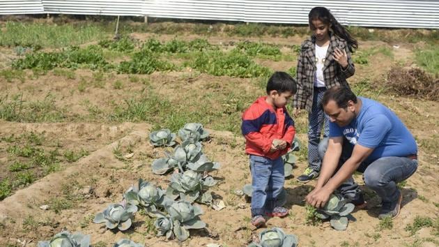 Every individual in the community has a 600-yard farm for which they contribute Rs 28, 000 every six months, including the cost of seeds and the salaries of nine labourers they have hired to help them. The community pays Rs 60,000 per acre per annum as rent to the land owners. (Burhaan Kinu / HT Photo) Every individual in the community has a 600-yard farm for which they contribute Rs 28, 000 every six months, including the cost of seeds and the salaries of nine labourers they have hired to help them. The community pays Rs 60,000 per acre per annum as rent to the land owners. (Burhaan Kinu / HT Photo)