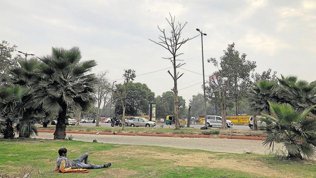 The grassy grounds tucked away between the National Science Centre and the Old Fort. (Mayank Austen Soofi / HT Photo) The grassy grounds tucked away between the National Science Centre and the Old Fort. (Mayank Austen Soofi / HT Photo)