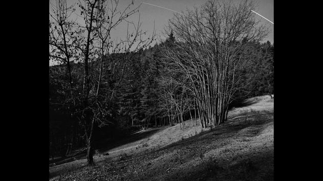 Using long exposures, his camera finds winding forest trails, sometimes in the company of humans, sometimes in the company of moving strips of starry skies. The grandeur of the forest is intimidating and lends its invitation to only those who are unafraid of its uncertainties. (Photograph courtesy Dileep Prakash / PHOTOINK ) 