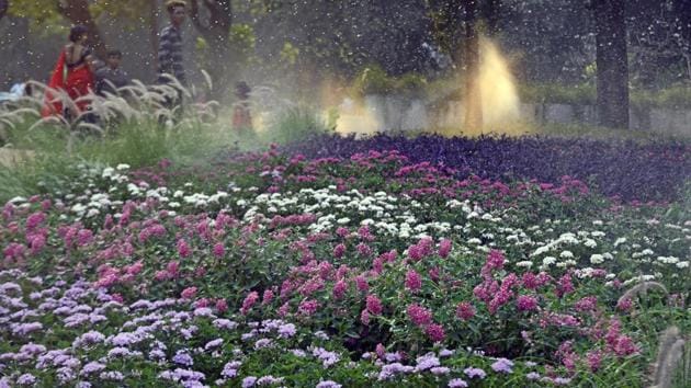 A sight for sore eyes: Visitors take in the park’s beauty. (Shashi S Kashyap/HT PHOTO) 