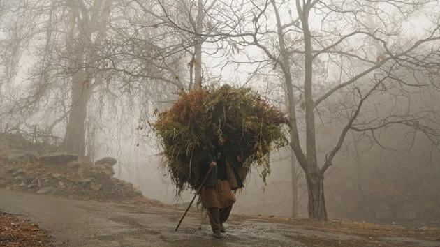 A Kashmiri man carrying grass as he walk on a rainy day on the outskirts of Srinagar on Saturday. (waseem andrabi/ht)