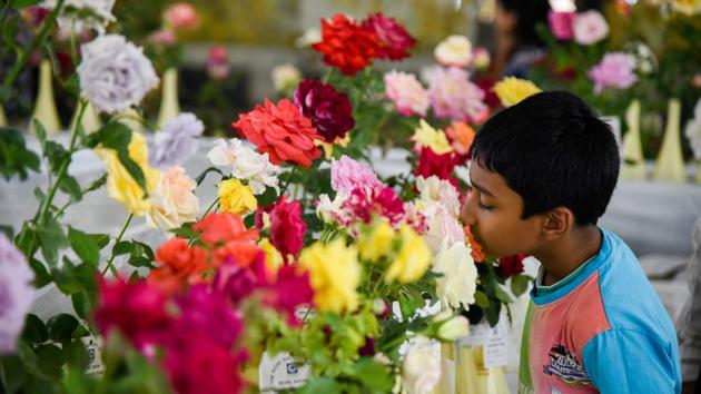 A boy tried to figure out the fragrance of the to roses exhibited at the 101 Rose show by The Rose Society of Pune at Tilak Smarak Mandir on Tilak road on February 17. (Sanket Wankhade/HT PHOTO) A boy tried to figure out the fragrance of the to roses exhibited at the 101 Rose show by The Rose Society of Pune at Tilak Smarak Mandir on Tilak road on February 17. (Sanket Wankhade/HT PHOTO)