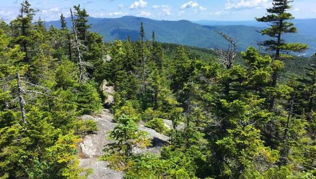 Vermont’s Long Trail stretches from the state of Massachusetts to Canada.(Shutterstock)