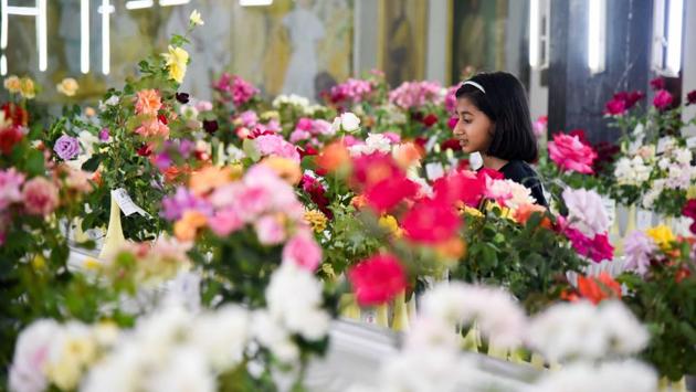 A little girl examines the roses exhibited at the 101 Rose show by The Rose Society of Pune at Tilak Smarak Mandir. (Sanket Wankhade/HT PHOTO) A little girl examines the roses exhibited at the 101 Rose show by The Rose Society of Pune at Tilak Smarak Mandir. (Sanket Wankhade/HT PHOTO)