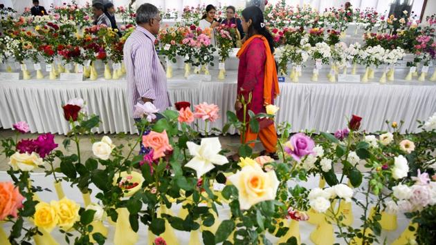 Wide variety of roses exhibited at the 101 Rose show by The Rose Society of Pune at Tilak Smarak Mandir on Tilak road on February 17. (Sanket Wankhade/HT PHOTO) Wide variety of roses exhibited at the 101 Rose show by The Rose Society of Pune at Tilak Smarak Mandir on Tilak road on February 17. (Sanket Wankhade/HT PHOTO)