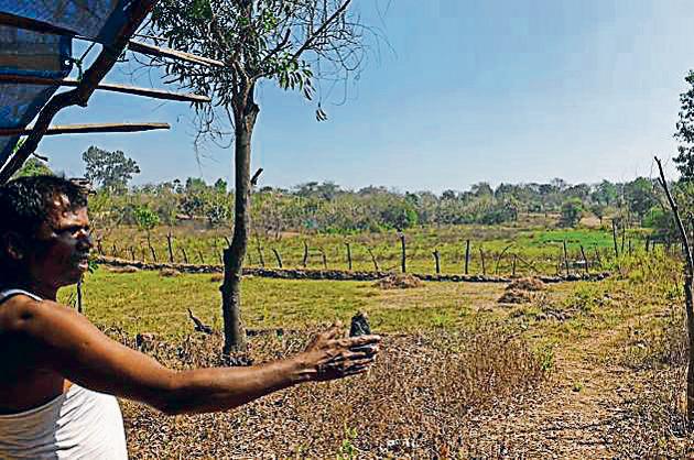 Families claim that their lands are being taken without their consent.(Satyabrata Tripathy/HT Photo)