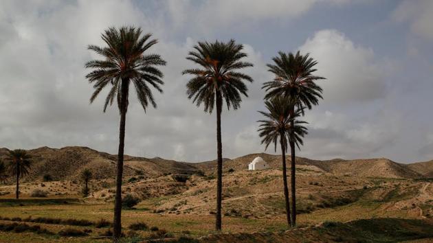 A monastery seen near underground houses on the outskirts of Matmata. Hedi Ali Kayel, 65, one of the last people in the area who knows how to build and maintain these houses fights a lonely battle to save those still standing. The last house he dug was in the 1970s. “Every time there’s rain I come and repair them,” he says. “I don’t let them go.” (Zohra Bensemra / REUTERS) A monastery seen near underground houses on the outskirts of Matmata. Hedi Ali Kayel, 65, one of the last people in the area who knows how to build and maintain these houses fights a lonely battle to save those still standing. The last house he dug was in the 1970s. “Every time there’s rain I come and repair them,” he says. “I don’t let them go.” (Zohra Bensemra / REUTERS)