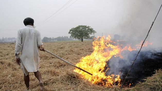 Nearly 1 lakh farmers who have applied for subsidy to buy happy seeders, bailer machines and straw shredders are waiting to be paid Rs 200 crore. (HT File) Nearly 1 lakh farmers who have applied for subsidy to buy happy seeders, bailer machines and straw shredders are waiting to be paid Rs 200 crore. (HT File)