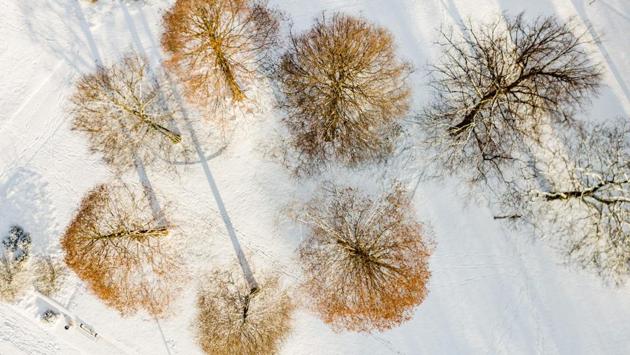 Snow covers a path in the “Planten and Blomen” park in Hamburg, Germany. The temperatures in Europe are in stark contrast to the Arctic itself which is experiencing an unusually warm period despite it being the depths of winter when the sun never even rises above the horizon. (Axel Heimken / dpa / AFP) Snow covers a path in the “Planten and Blomen” park in Hamburg, Germany. The temperatures in Europe are in stark contrast to the Arctic itself which is experiencing an unusually warm period despite it being the depths of winter when the sun never even rises above the horizon. (Axel Heimken / dpa / AFP)