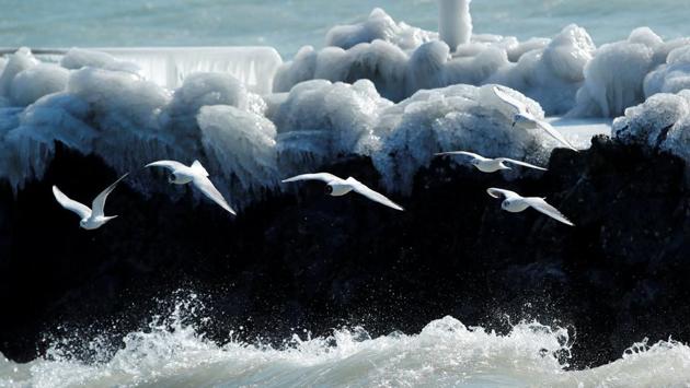Gulls fly during a windy winter day near Lake Leman in Geneva, Switzerland. Hit by easterly winds from Siberia, cities from Warsaw to Oslo were colder than minus 8C. (Denis Balibouse / REUTERS) Gulls fly during a windy winter day near Lake Leman in Geneva, Switzerland. Hit by easterly winds from Siberia, cities from Warsaw to Oslo were colder than minus 8C. (Denis Balibouse / REUTERS)