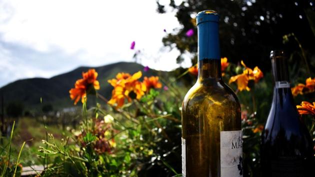 The fast-growing wine mecca, just two hours south of San Diego, is home to boutique hotels and more than 100 wineries to satisfy the most discerning of aficionados. (Shutterstock) The fast-growing wine mecca, just two hours south of San Diego, is home to boutique hotels and more than 100 wineries to satisfy the most discerning of aficionados. (Shutterstock)