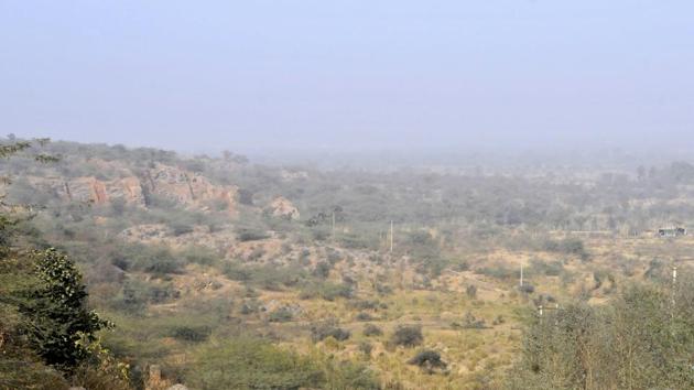 According to the State of the Forest 2017 report, Haryana increased its forest cover by 0.01%.(HT Photo) According to the State of the Forest 2017 report, Haryana increased its forest cover by 0.01%.(HT Photo)
