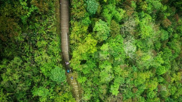Hikers walk the Ngong Ping 360 Rescue Trail on Hong Kong's outlying Lantau Island. (Anthony Wallace / AFP) 