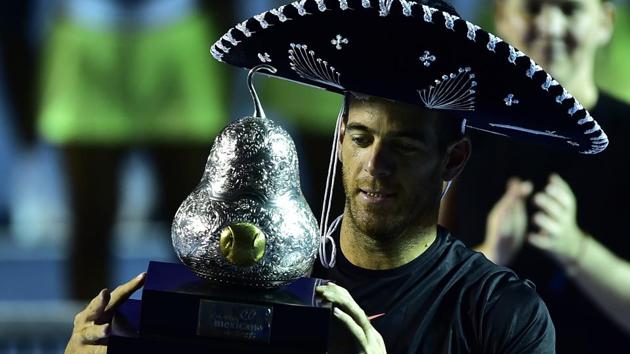 Juan Martin del Potro clinched his 21st career title with a 6-4, 6-4 win over Kevin Anderson in the Mexican Open final in Acapulco.(AFP)