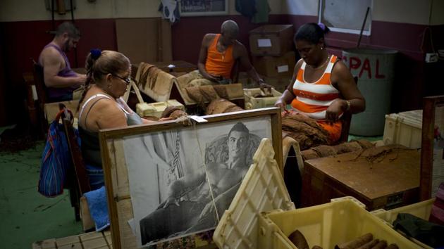 Workers sort tobacco leaves, choosing only the best for rolling, next to a portrait of Portuguese football star Cristiano Ronaldo, at La Corona cigar factory. Most of the workers in the factory are women, and while men put up images of sports stars in action, the women prefer more relaxed images of the footballer. (Ramon Espinosa / AP) Workers sort tobacco leaves, choosing only the best for rolling, next to a portrait of Portuguese football star Cristiano Ronaldo, at La Corona cigar factory. Most of the workers in the factory are women, and while men put up images of sports stars in action, the women prefer more relaxed images of the footballer. (Ramon Espinosa / AP)