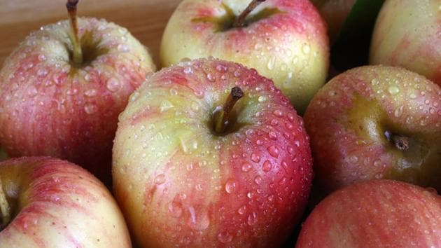 The newly rediscovered apples include the Shackleford, Saxon Priest, Kittageskee, Ewalt and McAffee varietals. (Getty Images/iStockphoto) The newly rediscovered apples include the Shackleford, Saxon Priest, Kittageskee, Ewalt and McAffee varietals. (Getty Images/iStockphoto)