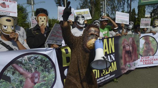 Environmental activists hold a rally in Banda Aceh in Indonesia.(AFP File Photo) Environmental activists hold a rally in Banda Aceh in Indonesia.(AFP File Photo)