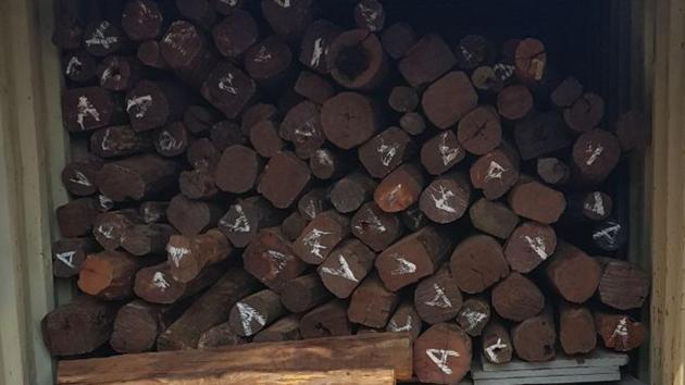The seized logs were supposed to be smuggled to Dubai. (HT) The seized logs were supposed to be smuggled to Dubai. (HT)