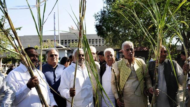 Congress legislators holding sugarcane stalks during a protest outside the Vidhan Sabha complex in Chandigarh on Wednesday. (Keshav Singh/HT) Congress legislators holding sugarcane stalks during a protest outside the Vidhan Sabha complex in Chandigarh on Wednesday. (Keshav Singh/HT)