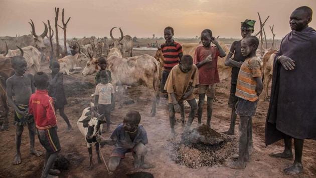 Each morning the tribe heads out with hundreds of cattle in search of grazing ground. While the animals graze, the Dinka can spend hours discussing variations and markings on their herd with appreciation similar to fine art. (Stefanie Glinski / AFP) 