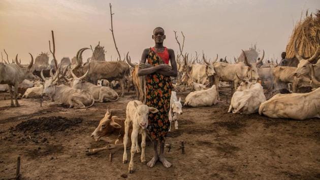Den, 14, a Dinka girl works as a cattle keeper with her brother. The dry season camps also provide space for young people to meet freely. A Dinka man is judged not just by his deeds but also the stature of his bull. The animal accompanies him while courting a girl, when songs are sung extolling her beauty and also the virtues of the suitor’s ox. (Stefanie Glinski / AFP) 