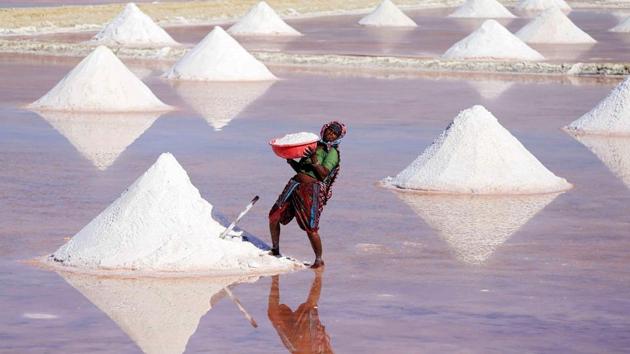 A labourer works on a salt pan in the outskirts of Nagaur district, Rajasthan on March 7, 2018. (Himanshu Sharma / AFP) A labourer works on a salt pan in the outskirts of Nagaur district, Rajasthan on March 7, 2018. (Himanshu Sharma / AFP)