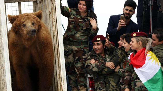 Female Iraqi Kurdish peshmerga fighters watch on as they release a bear into the wild in the Gara Mountains near the northern Iraqi city of Dohuk, after Iraqi Kurdish Animal rights activists from a local NGO rescued it from a private home. (Safin Hamed / AFP) Female Iraqi Kurdish peshmerga fighters watch on as they release a bear into the wild in the Gara Mountains near the northern Iraqi city of Dohuk, after Iraqi Kurdish Animal rights activists from a local NGO rescued it from a private home. (Safin Hamed / AFP)