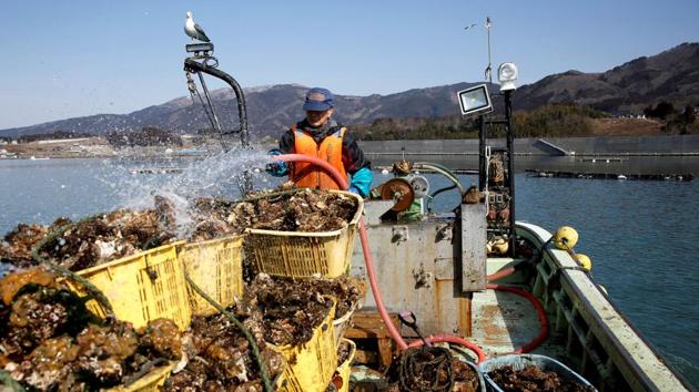 When the quake struck Japanese oyster fisherman Atsushi Fujita was working as usual by the sea. Soon after, a huge black wave slammed into his city and killed nearly 2,000 people. Today a 12.5 metre wall stands cordoning his hometown Rikuzentakata from the sea. “It feels like we’re in jail, even though we haven’t done anything bad,” the 52-year-old Fujita said. (Kim Kyung-Hoon / REUTERS) When the quake struck Japanese oyster fisherman Atsushi Fujita was working as usual by the sea. Soon after, a huge black wave slammed into his city and killed nearly 2,000 people. Today a 12.5 metre wall stands cordoning his hometown Rikuzentakata from the sea. “It feels like we’re in jail, even though we haven’t done anything bad,” the 52-year-old Fujita said. (Kim Kyung-Hoon / REUTERS)