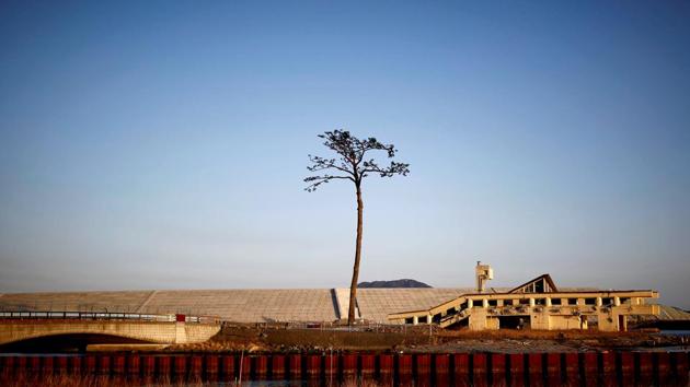 ‘Miracle Pine’, a tree which is symbolises hope and recovery after surviving the tsunami, stands next to a damaged building in front of the Rikuzentakata seawall. Many residents initially welcomed the idea of the walls but have become critical over time. Some say they were not consulted enough in the planning or that the money spent has meant that other rebuilding, such as housing, has fallen behind. (Kim Kyung-Hoon / REUTERS) ‘Miracle Pine’, a tree which is symbolises hope and recovery after surviving the tsunami, stands next to a damaged building in front of the Rikuzentakata seawall. Many residents initially welcomed the idea of the walls but have become critical over time. Some say they were not consulted enough in the planning or that the money spent has meant that other rebuilding, such as housing, has fallen behind. (Kim Kyung-Hoon / REUTERS)
