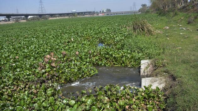 The NGT ordered a survey by a joint team of officials from state agencies concerned on January 16 after a petitioner in the green court had contended that polluted water discharged by industries has led to contamination of surface and groundwater, as it is discharged directly into the Hindon and two of its tributaries, Krishni and Kali (west).(Sakib Ali/HT Photo) The NGT ordered a survey by a joint team of officials from state agencies concerned on January 16 after a petitioner in the green court had contended that polluted water discharged by industries has led to contamination of surface and groundwater, as it is discharged directly into the Hindon and two of its tributaries, Krishni and Kali (west).(Sakib Ali/HT Photo)
