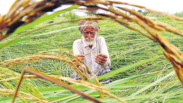 Waiver restricted to farmers with a landholding of up to 5 acres. (HT File Photo) Waiver restricted to farmers with a landholding of up to 5 acres. (HT File Photo)