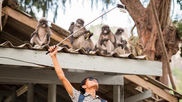 Avoid taking selfies with animals as you could scare them and put yourself in harm’s way. (Getty Images) Avoid taking selfies with animals as you could scare them and put yourself in harm’s way. (Getty Images)