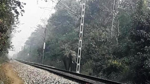 An elephant on a railway track somewhere between Haridwar and Dehradun. (HT photo) An elephant on a railway track somewhere between Haridwar and Dehradun. (HT photo)