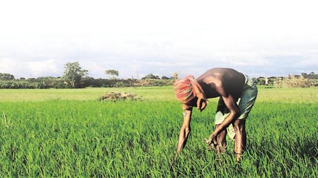 The farmers are paid the compensation at the rate of around ₹3 to ₹3.5 per sq feet. But now, they are demanding the compensation at the rate of ₹14 per sq feet.(AFP File Photo)