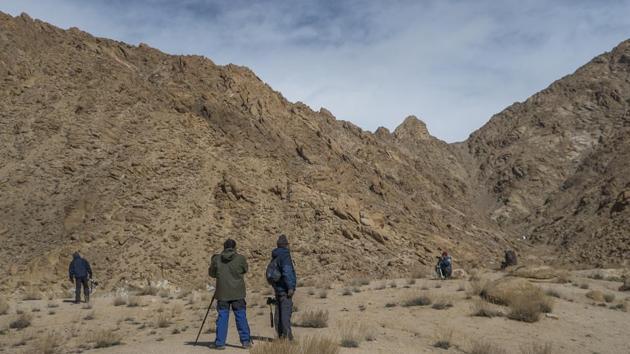 The scenic terrain of Ulley valley attracts several photographs and spotters each year. Seen here are a few of them, waiting for their chance to spot the snow leopard.The number of snow leopards in the Ladakh region has been estimated at 300-400.  (Pratik Chorge / HT Photo) 