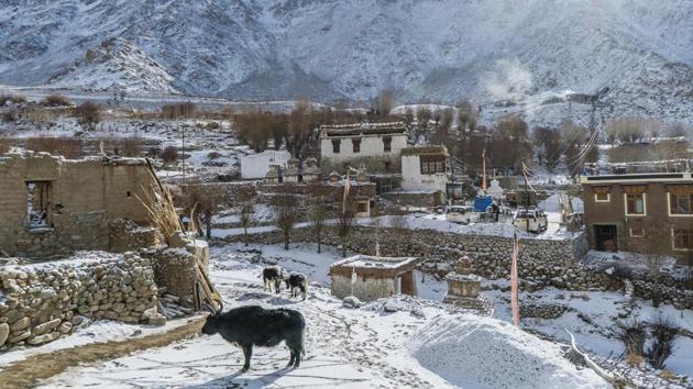 The Ulley village covered in fresh snowfall. There are just seven homes in Ulley, and until about 12 years ago, farming and livestock-rearing were the primary occupations.  (Pratik Chorge / HT Photo) 