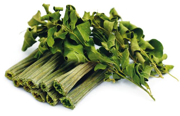 As we enjoy them in our dals and sambars, we have no idea how healthy drumsticks are (Dinodia) As we enjoy them in our dals and sambars, we have no idea how healthy drumsticks are (Dinodia)