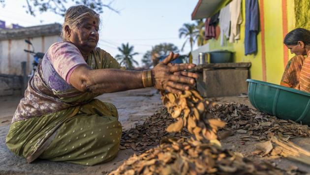 Women sort nuts outside their home in Kuragunda in Karnataka on March 08, 2018. Hit by criticism that he’d neglected his rural base and after his party’s worst electoral showing in two decades in Gujarat, Modi has pledged to double farmers’ incomes by 2022, raise the support prices on additional crops and spend more on irrigation and infrastructure in rural areas. (Prashanth Vishwanathan / Bloomberg) Women sort nuts outside their home in Kuragunda in Karnataka on March 08, 2018. Hit by criticism that he’d neglected his rural base and after his party’s worst electoral showing in two decades in Gujarat, Modi has pledged to double farmers’ incomes by 2022, raise the support prices on additional crops and spend more on irrigation and infrastructure in rural areas. (Prashanth Vishwanathan / Bloomberg)