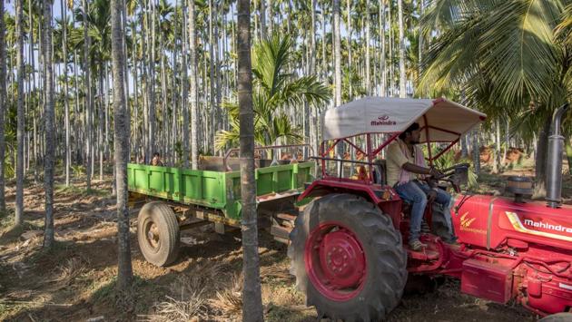 A farmer drives a Mahindra 475 DI tractor, manufactured by Mahindra & Mahindra Ltd., through an areca nut farm in the village of Kuragunda in Karnataka on March 8, 2018. (Prashanth Vishwanathan / Bloomberg) A farmer drives a Mahindra 475 DI tractor, manufactured by Mahindra & Mahindra Ltd., through an areca nut farm in the village of Kuragunda in Karnataka on March 8, 2018. (Prashanth Vishwanathan / Bloomberg)