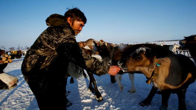 For people here, environmental issues are where the government has the most direct impact on daily life. Of immediate concern are the oil fields drilling around what little pasture ground the nomads have for their reindeer herds. (Sergei Karpukhin / REUTERS) For people here, environmental issues are where the government has the most direct impact on daily life. Of immediate concern are the oil fields drilling around what little pasture ground the nomads have for their reindeer herds. (Sergei Karpukhin / REUTERS)