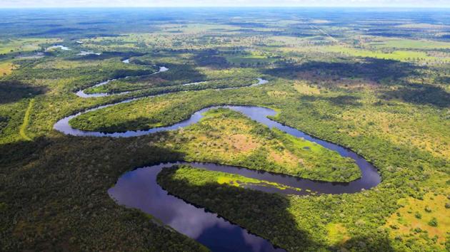 The Pantanal enjoys many legal protections and about 82% is untouched but in the area where water rises, 55 % of the territory has suffered deforestation. “This region is at risk and if nothing is done to change this, we’ll start seeing the collapse of the Pantanal during the coming years,” said Julio Cesar Sampaio, WWF’s coordinator for the Cerrado-Pantanal. (Carl De Souza / AFP)