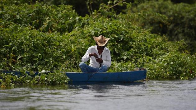 A fisherman prepares his fishing reel at the wetlands in Mato Grosso state, Brazil. Local cowboys, called “pantaneiros,” move their herds in rhythm with the movement of the floods. Freitas said ranchers have had a presence for more than 200 years without causing undue impact. The problem was the arrival in recent decades of intensive agriculture, reducing the topsoil and muddying the streams. (Carl De Souza / AFP)